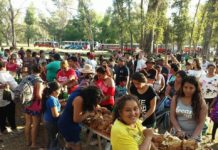 Picnicazo!
