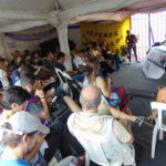 Cerebros al tacho