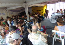 Cerebros al tacho