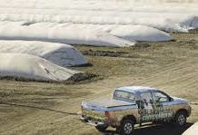 ¿Sin liquidar exportaciones?