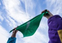 Despenalización del Aborto: El proyecto