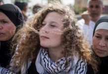 Palestina brava