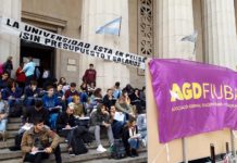 Los docentes universitarios estamos en lucha
