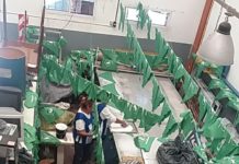 Ahora sí… ¡será ley!