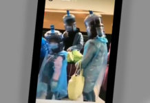 Videos desde las redes…