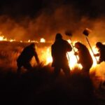 Petición contra los incendios ambientales