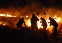 Petición contra los incendios ambientales
