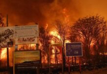 Ley del Fuego, reformada!