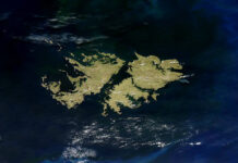 Las Malvinas son argentinas