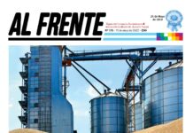 Al Frente N° 175