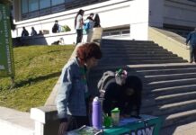 Organizándonos en las facultades