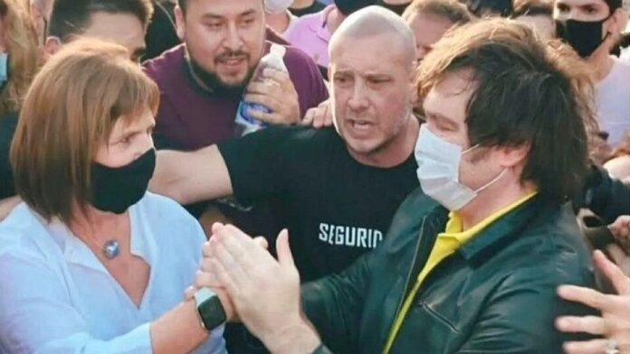 661655-carrolmileibullrich_0