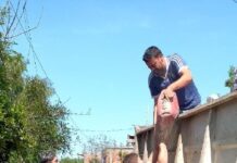 Avanza el trabajo comunitario de vecinos de Virrey del Pino