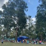 Un picnic con actividades para todxs