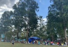 Un picnic con actividades para todxs