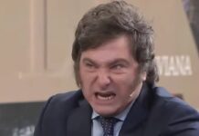 El engaño dolarizador de Milei