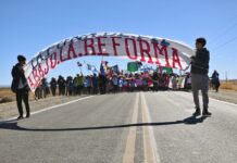 Jujuy: una muestra de a qué vienen
