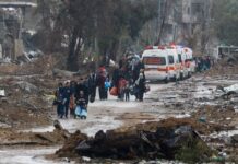 Tregua en Gaza e intercambio de prisioneros