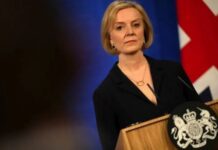 Milei no es el primer presidente liberal-libertario