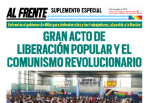 Suplemento especial Al Frente N° 193