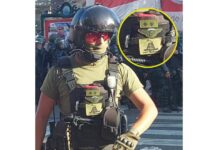 Insignia fascista