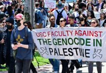 Acampes masivos en apoyo a Palestina en Estados Unidos y Europa