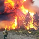 ¡Fuego libre!