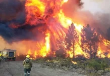 ¡Fuego libre!