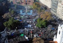 Al Frente N° 206
