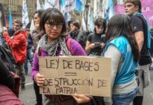 A un año de la Ley Bases: destrucción de políticas públicas y producción