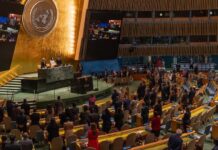 Informe de la ONU sobre Palestina: Es genocidio