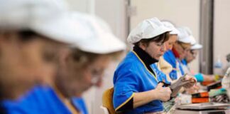 Reforma laboral contra los trabajadores y sus organizaciones