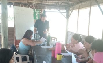 Escuelas de formación política