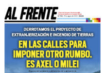 Al Frente N° 213